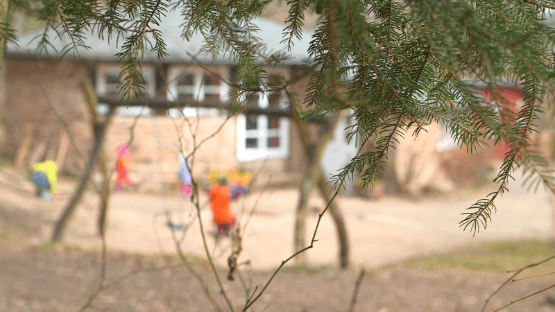 Baum im Vordergrund, im Hintergrund spielende Kinder